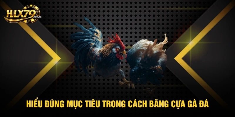 Hiểu đúng mục tiêu trong cách băng cựa gà đá