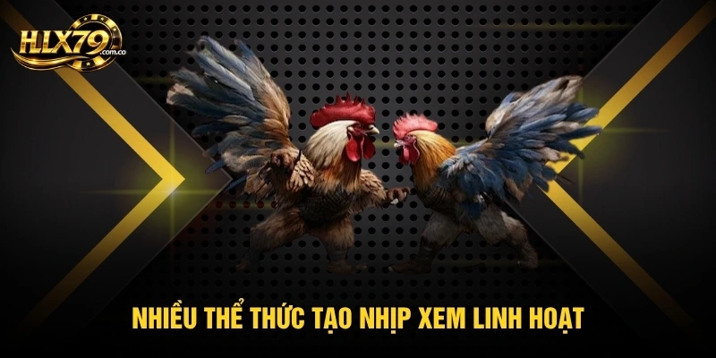 Nhiều thể thức tạo nhịp xem linh hoạt