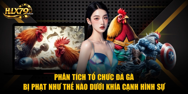 Phân tích tổ chức đá gà bị phạt như thế nào dưới khía cạnh hình sự Phân tích tổ chức đá gà bị phạt như thế nào dưới khía cạnh hình sự